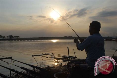 Minat wisata mancing di Maluku Utara tinggi - ANTARA News