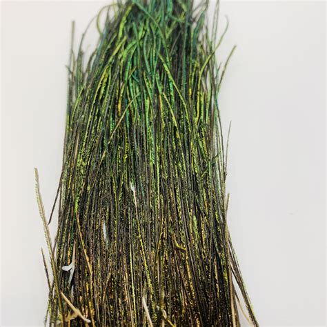 peacock herl