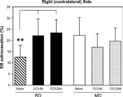 Extravasation Differences Between Groups On The Side Contralateral To