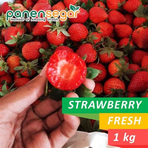 Promo Strawberry Fresh Ciwidey Premium 1kg Diskon 27 Di Seller