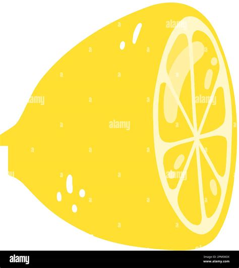 Hand Drawn Half A Lemon Vector Illustration Of Cut Tasty Citrus Healthy Food Summer Fresh