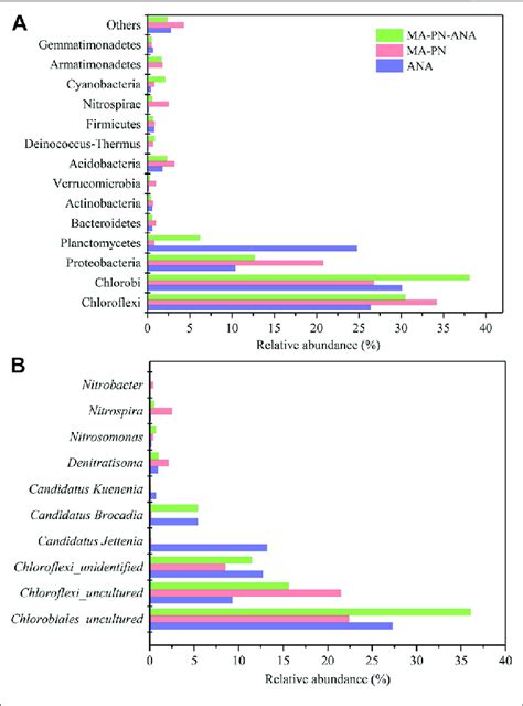 The Relative Abundance Of Dominant Functional Bacteria At Phylum A