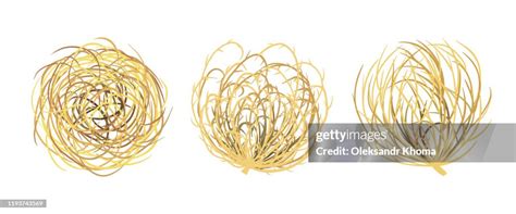 tumbleweed high res vector graphic getty images