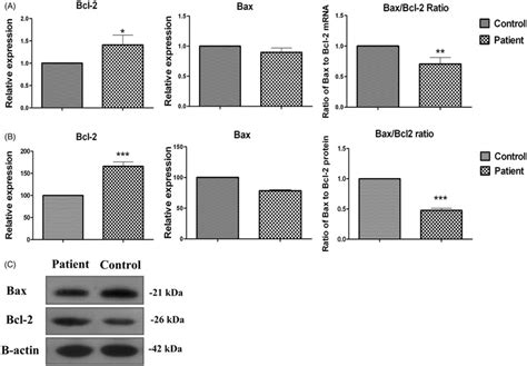 Expression Of Bcl Bax And Bax Bcl Ratio In Systemic Sclerosis N