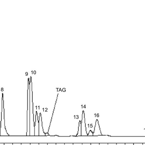 Reverse Phase High Performance Liquid Chromatography Rp Hplc