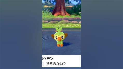 陽キャ大学生が嫌いなスーツ氏【スーツポケモン剣盾切り抜き】【横浜国立大学】shorts Youtube