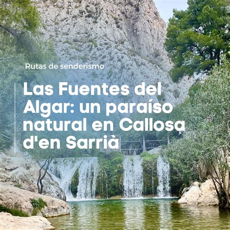 Las Fuentes Del Algar Un Para So Natural En Callosa D En Sarri