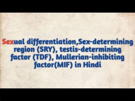 Sexual Differentiation Sex Determining Region SRY Gene Testes