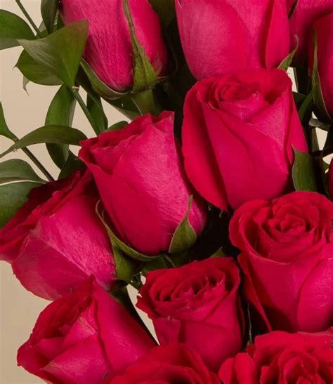 Alf Mabrook Red Roses Arrangement In Riyadh Joi Ts