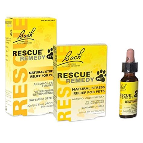 Top 15 Best Dog Anxiety Medications for Calming Dogs in 2019