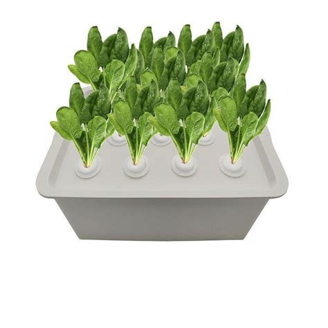 Effortless Home Hydroponics Self Watering System