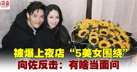 被爆上夜店“5美女围绕” 向佐反击：有啥当面问 马来西亚诗华日报新闻网