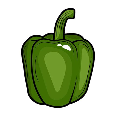 Ilustración De Vector De Dibujo Grabado De Pimiento Vector Premium