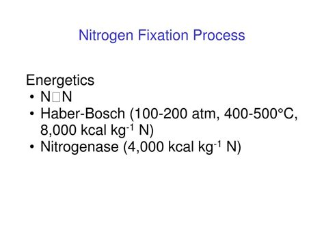 Ppt Nitrogen Fixation Powerpoint Presentation Free Download Id4437387