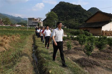 全县贯彻“四个不摘” 巩固提升脱贫摘帽成果 全面推进乡村振兴现场会 政务动态