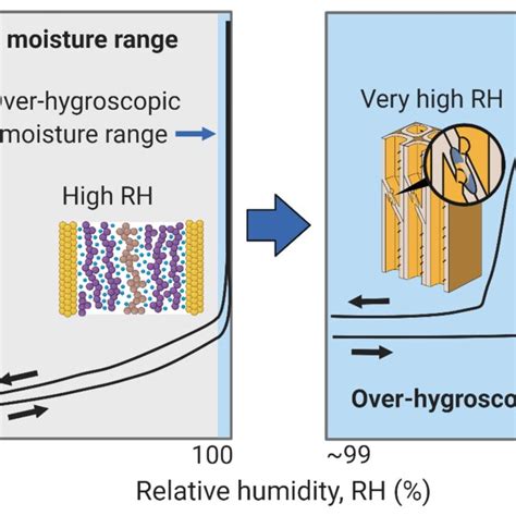 Schematic Illustration Of Sorption Isotherms In The Hygroscopic And