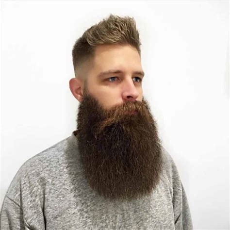 115 Sexy Long Beard Styles For Men 2020 Trends