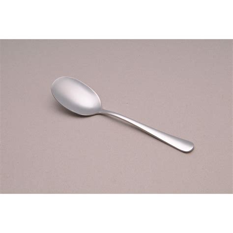 Stainless Steel Tea Spoon : POOLEE