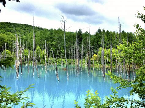 Fotos Gratis Paisaje Rbol Naturaleza Bosque Al Aire Libre