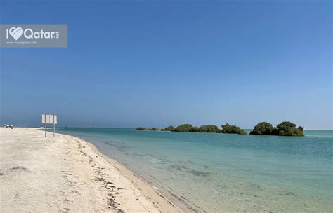 A Guide To Al Thakira Mangroves In Qatar