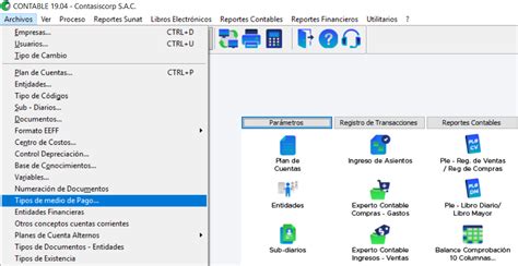 Tipo Medio De Pago Soporte Contasiscorp