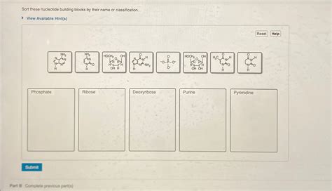 Solved Sort these nucleotide building blocks by their name | Chegg.com