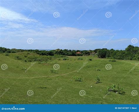 Wide Expanse Of Grass On The Hill Stock Image Image Of Soil