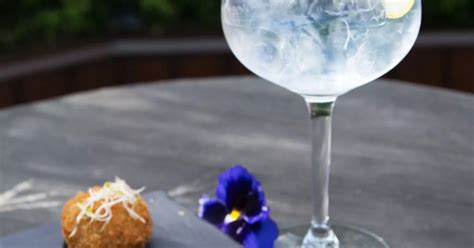 Irish Gin And Tonic Festival Show Your Love For Gandts Dublin Live