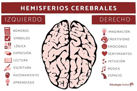 Cuadro Comparativo sobre los Hemisferios cerebrales - Cuadro Comparativo