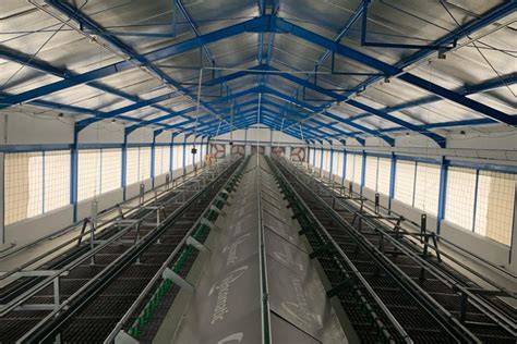 International Training Center Cage Free Innovation And Welfare Hub