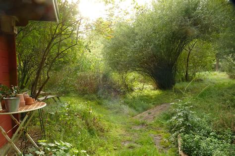 Herbst Im Naturgarten Es Wird Stiller Wehner Naturgarten