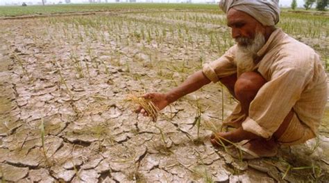 Drought Like Situation Haunts Farmers Bangladesh Post