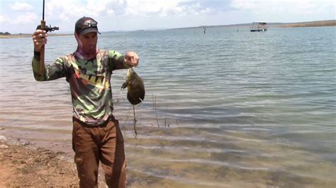 PESCARIA DO ACARÁ AÇU OU APAIARI NO LAGO DE TRÊS MARIAS YouTube