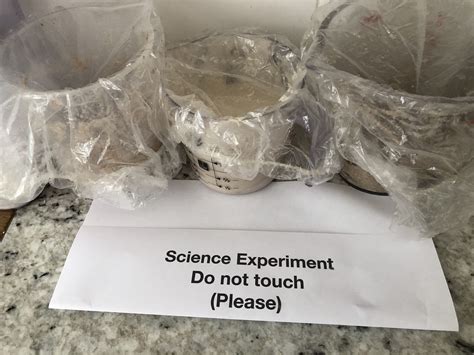 Sourdough rye; great bread but not for everyone – Mama Dolson's Bakery