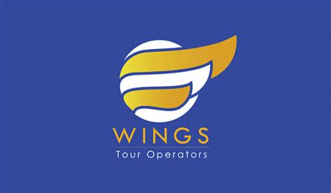 Wings Tour Operators USA No 1 Professional Website Design Company USA