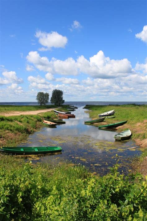 Free Images Landscape Sea Coast Tree Nature Marsh Wilderness