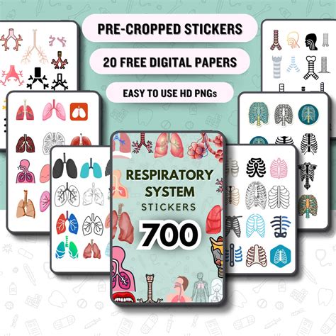 Respiratory System Sticker Bundle Pre Cropped Sticker Bundle