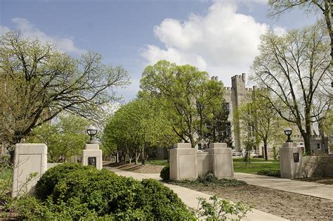 a park with trees and bushes in the foreground