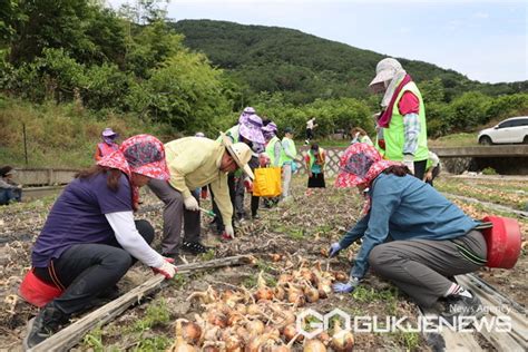 포토 의령군여성단체협의회 농촌일손돕기 봉사활동