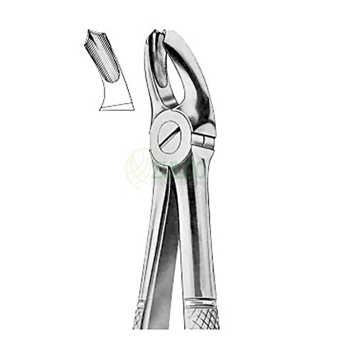 Extracting Forceps English Pattern Fig A Upper Molars