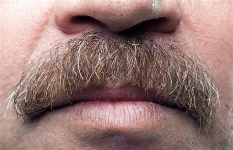 How To Grow A Thicker Mustache - Beard Natural