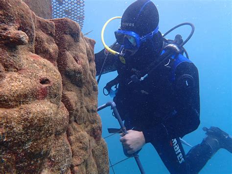 Leitat en un projecte per aconseguir la regeneració marina amb residus