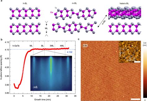 Two Dimensional Single Crystal Monoclinic Gallium Telluride On Silicon