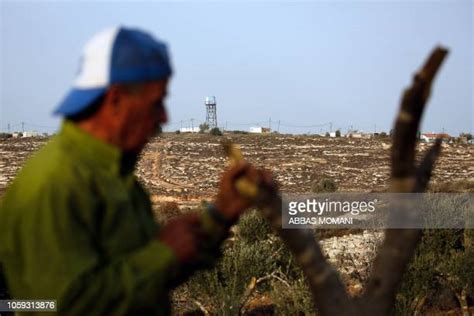 Abu Shinar Photos And Premium High Res Pictures Getty Images