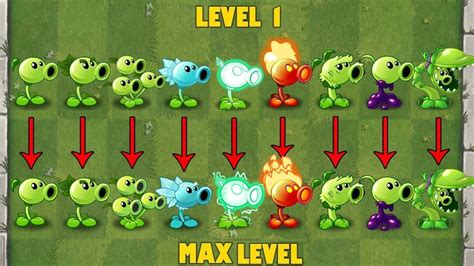 Pvz 2 Discovery Every Peashooter Level 1 Vs Max Level Youtube