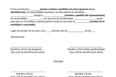 Carta Poder Para Recoger Visa En Dhl