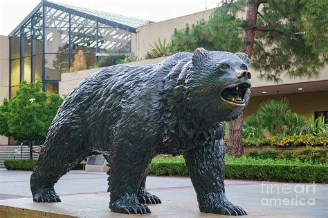 UCLA Bruin Statue Photograph by Chon Kit Leong