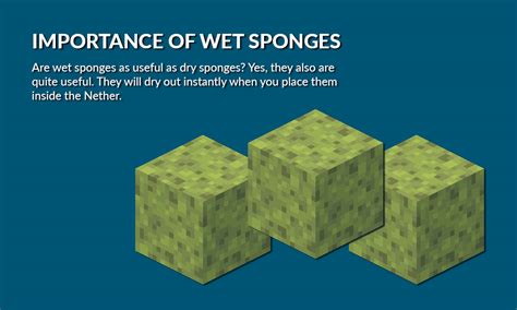 Read This To Know How To Get Sponges In Minecraft