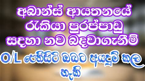 Job vacancy 2023 අබනස ආයතනය රකය පරපපඩ සදහ නව බදවගනම