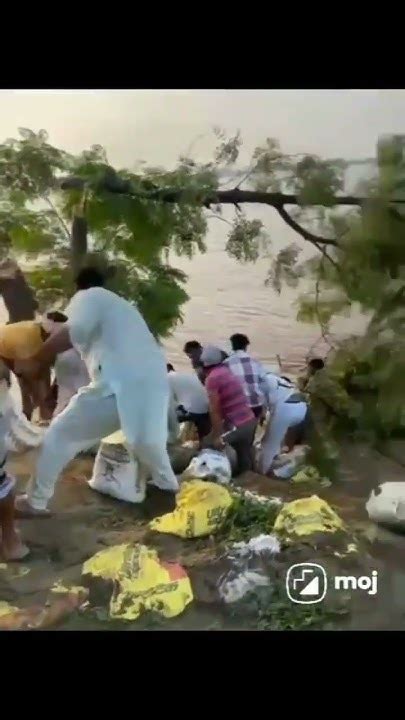 Flood ਹੜ੍ਹ ਆਉਣ ਕਾਰਨ ਸਾਰਾ ਕੁੱਝ ਤਬਾਹ ਹੋ ਗਿਆ ਚਾਂਦਪੁਰਾ ਬੰਨ ਟੁੱਟਣ ਕਾਰਨ